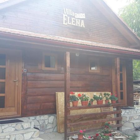 Pensiunea Tarina Șuncuiuș Exterior foto