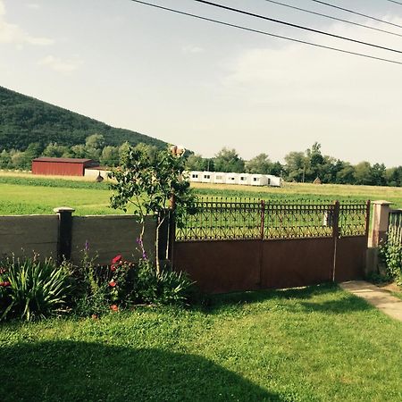 Pensiunea Tarina Șuncuiuș Exterior foto