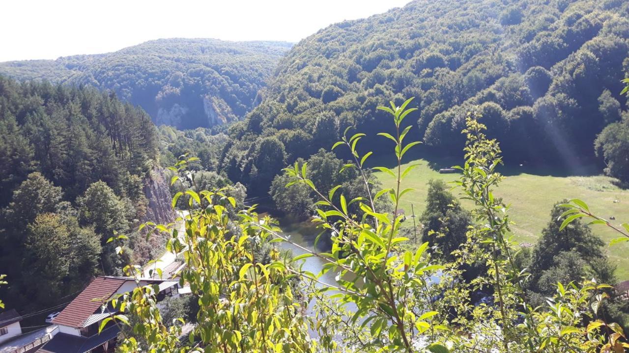 Pensiunea Tarina Șuncuiuș Exterior foto
