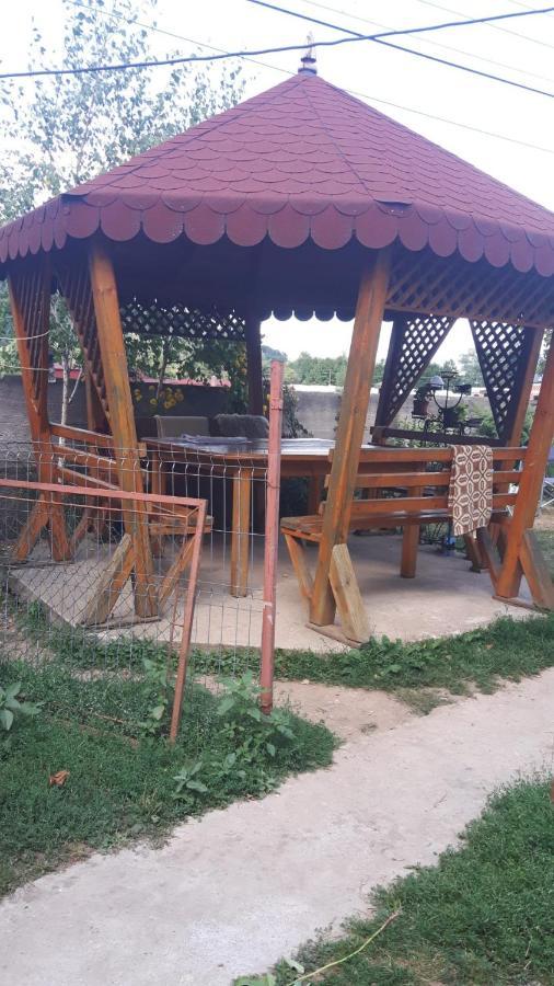 Pensiunea Tarina Șuncuiuș Exterior foto