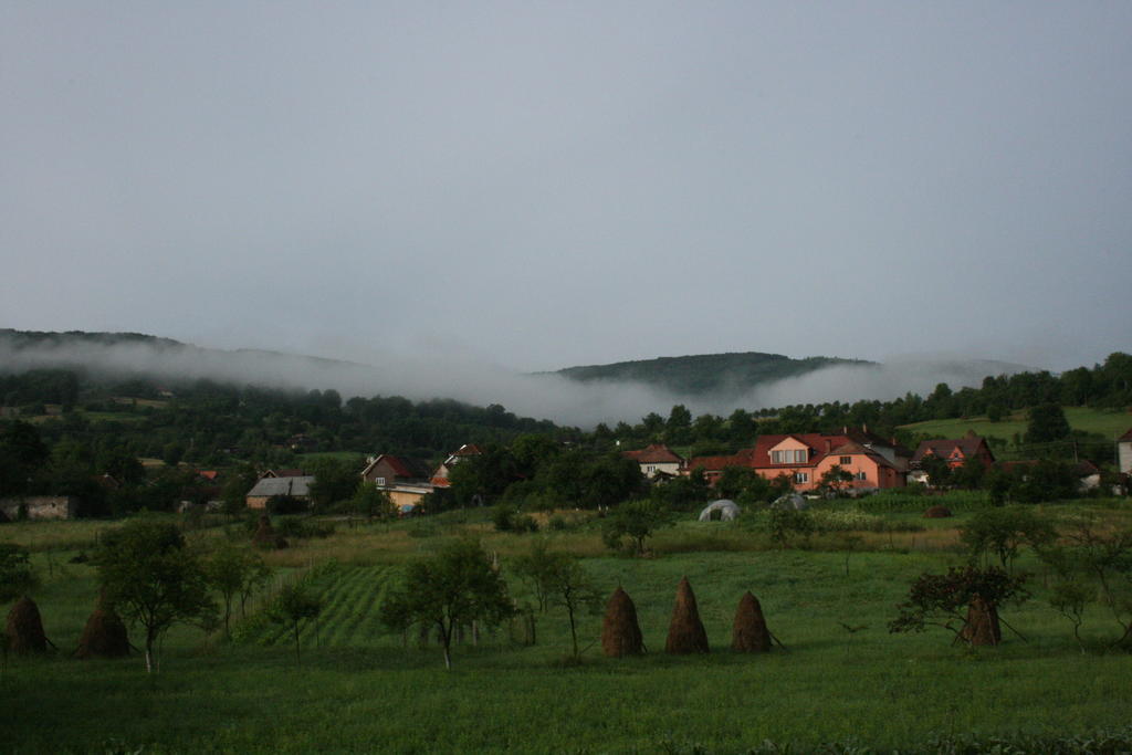 Pensiunea Tarina Șuncuiuș Exterior foto