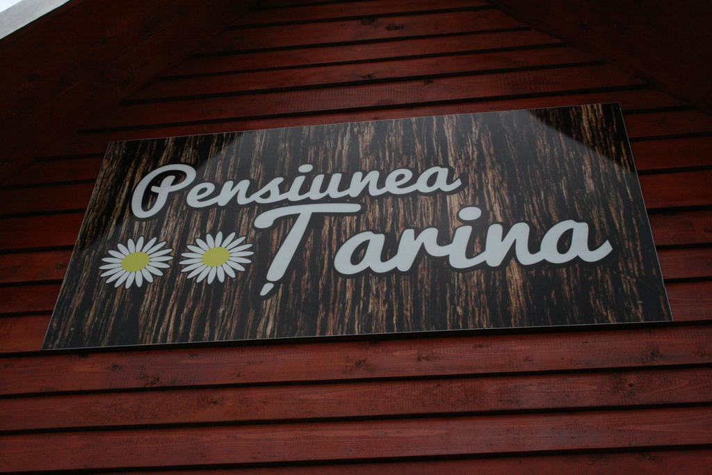 Pensiunea Tarina Șuncuiuș Exterior foto