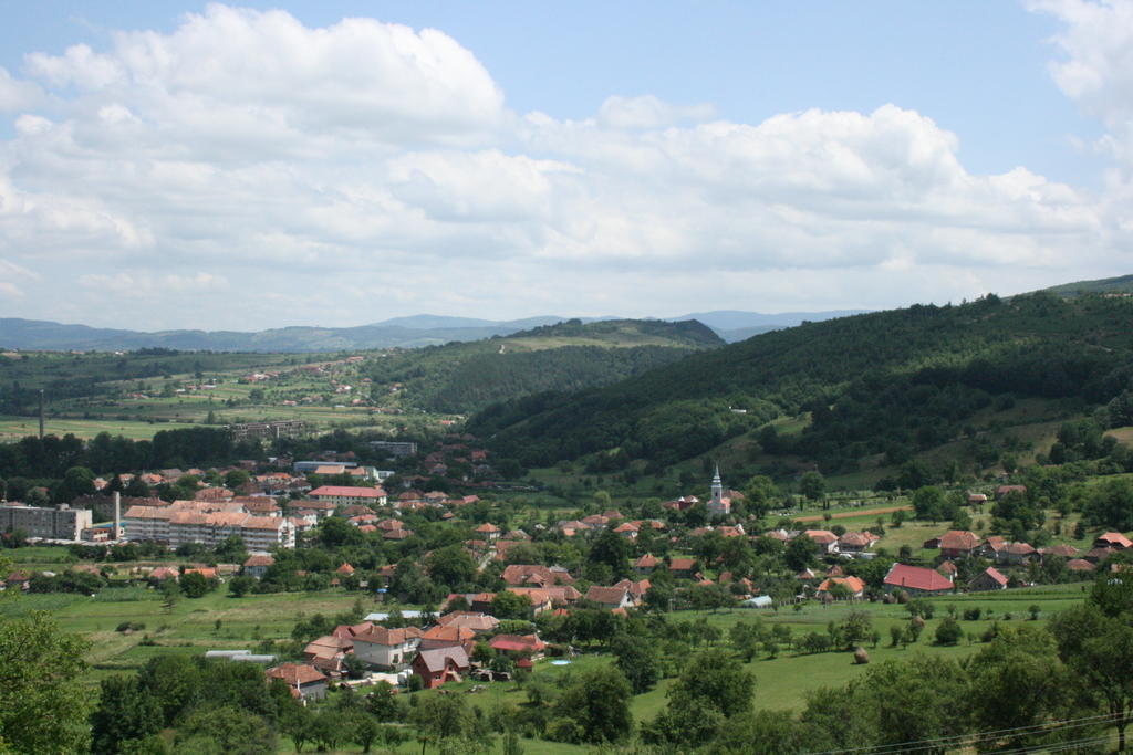 Pensiunea Tarina Șuncuiuș Exterior foto