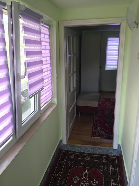 Pensiunea Tarina Șuncuiuș Exterior foto